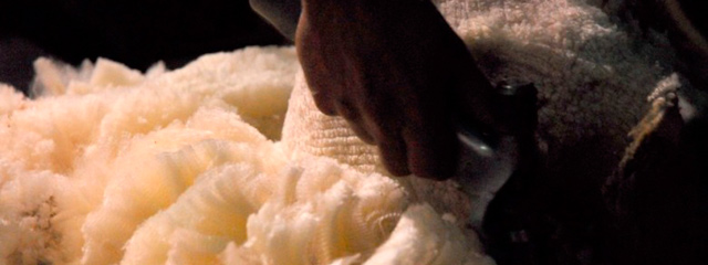 Uruguay en el podio de las compras chinas de lana