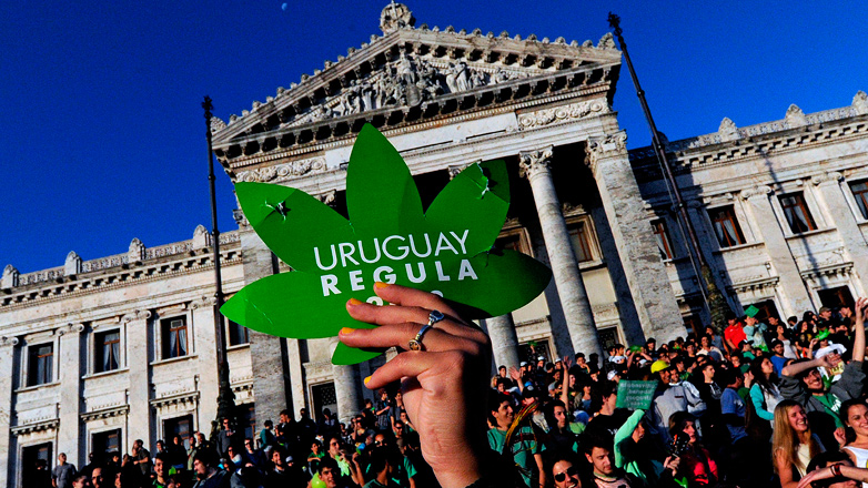 Uruguay es el país que menos vincula la marihuana con el delito en la región