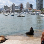 10 razones para visitar Uruguay en 2016, según CNN