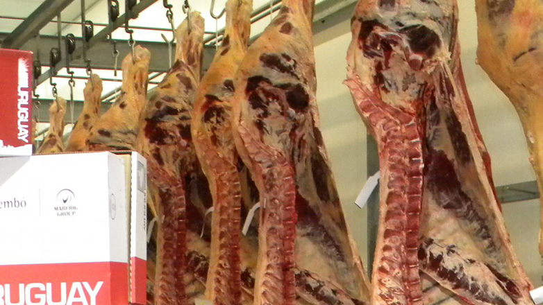 INAC proyecta aumento de exportación de carne vacuna para 2016