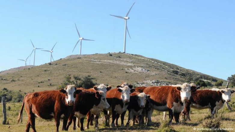 Uruguay: energía natural