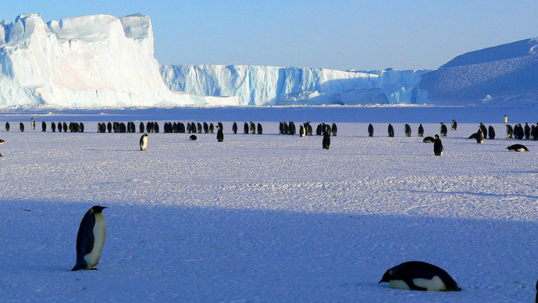 Se patentará importante descubrimiento realizado por científicos uruguayos en la Antártida