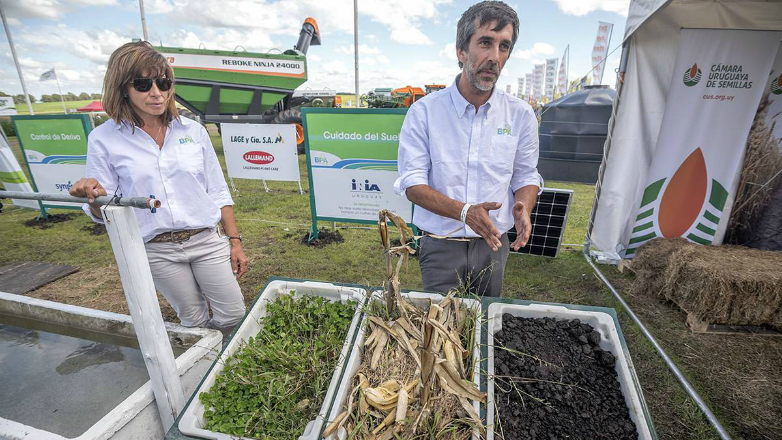 Red de Buenas Prácticas Agropecuarias promueve la siembra directa y los refugios en los cultivos de soja y maíz