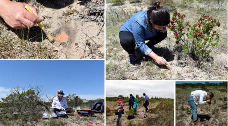 Encontraron piezas arqueológicas en la desembocadura del Arroyo Sauce y Punta Artilleros