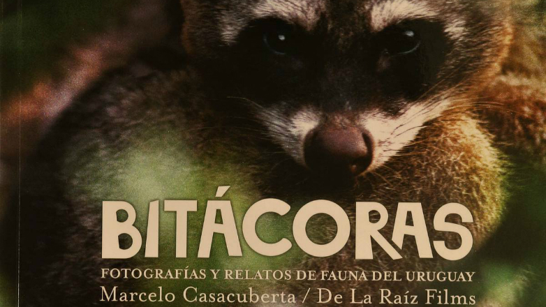 El libro Bitácoras nos propone descubrir la fauna que habita distintos ecosistemas de Uruguay