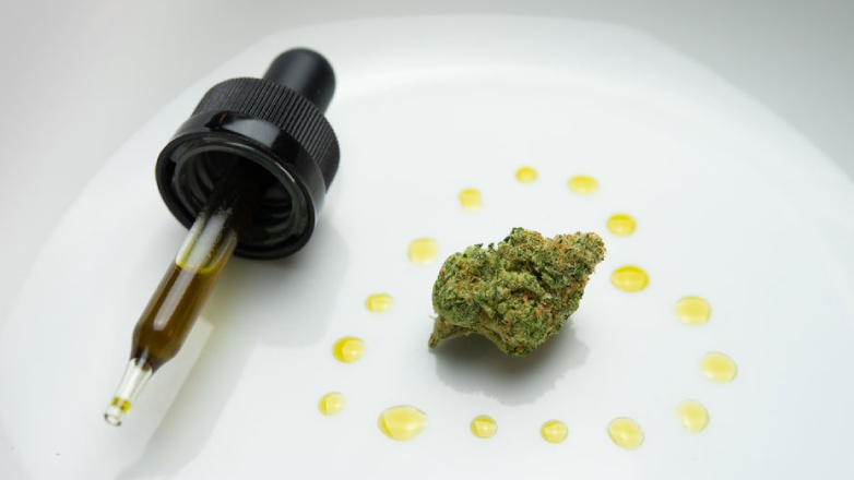 Cannabis medicinal: una industria en ascenso que podría generar U$S 1.000 millones al año