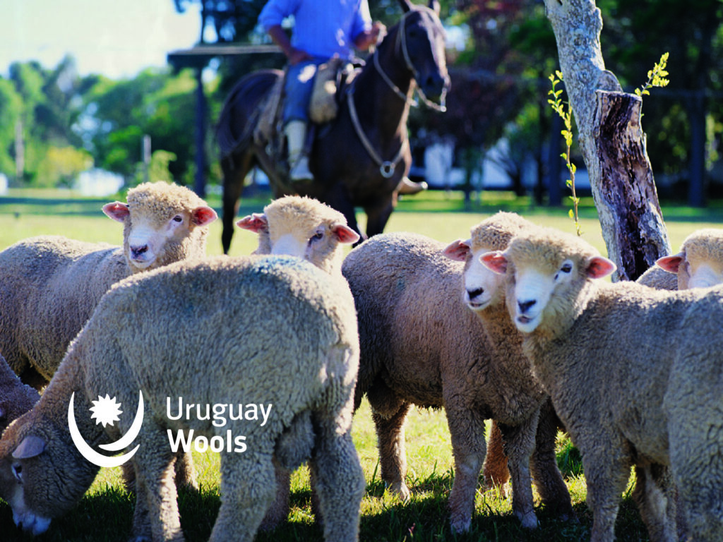 Uruguay Wools