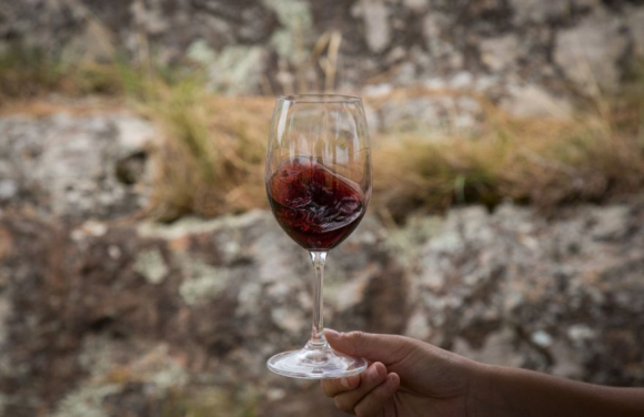Una semana para brindar por el Tannat, la cepa insignia de nuestros vinos