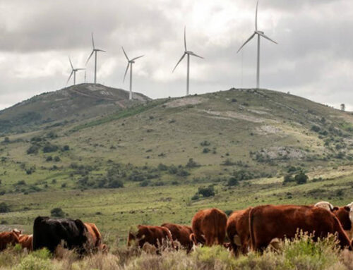 Uruguay tops Latin American transition to environment friendly energy sources